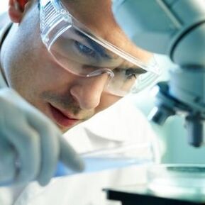 Identifizierung des Parasites